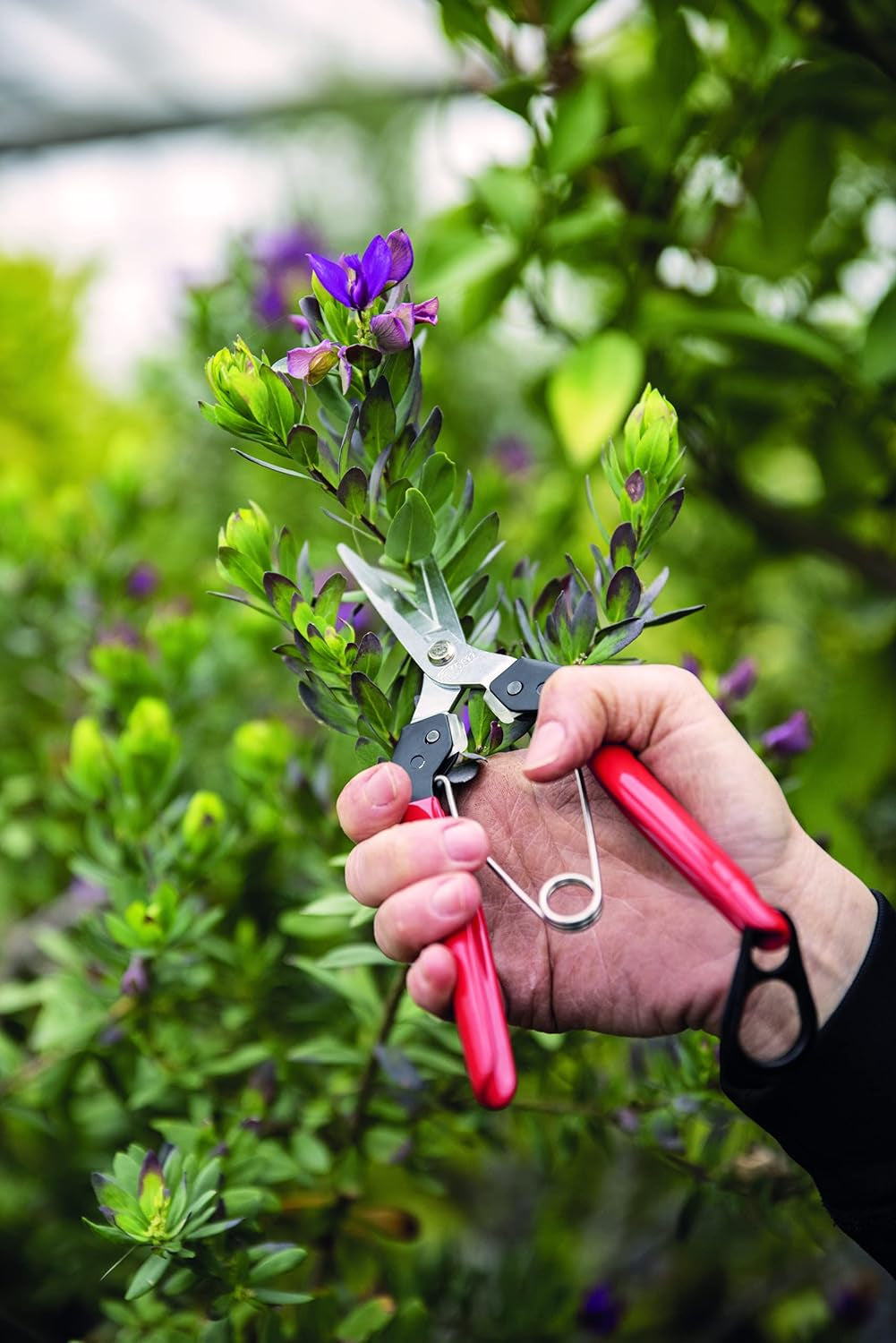 F322 Pruning Snips – 9.84" Swiss-Made Garden Clippers with Curved Blade & Rounded Tip | Pruning Shears for Gardening | Garden Snips and Pruners with Carbon Steel Blade, Sap Groove