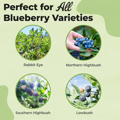 Blueberry Soil Mix