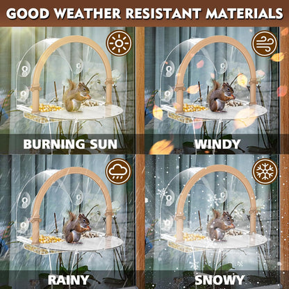 Window Squirrel Feeder, Large Squirrel Feeder for Outside,Funny Squirrel House with 5 Suction Cups，Plastic Squirrel Feeder Which Easy to Install,No Assembly Required