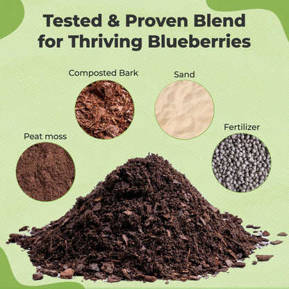 Blueberry Soil Mix