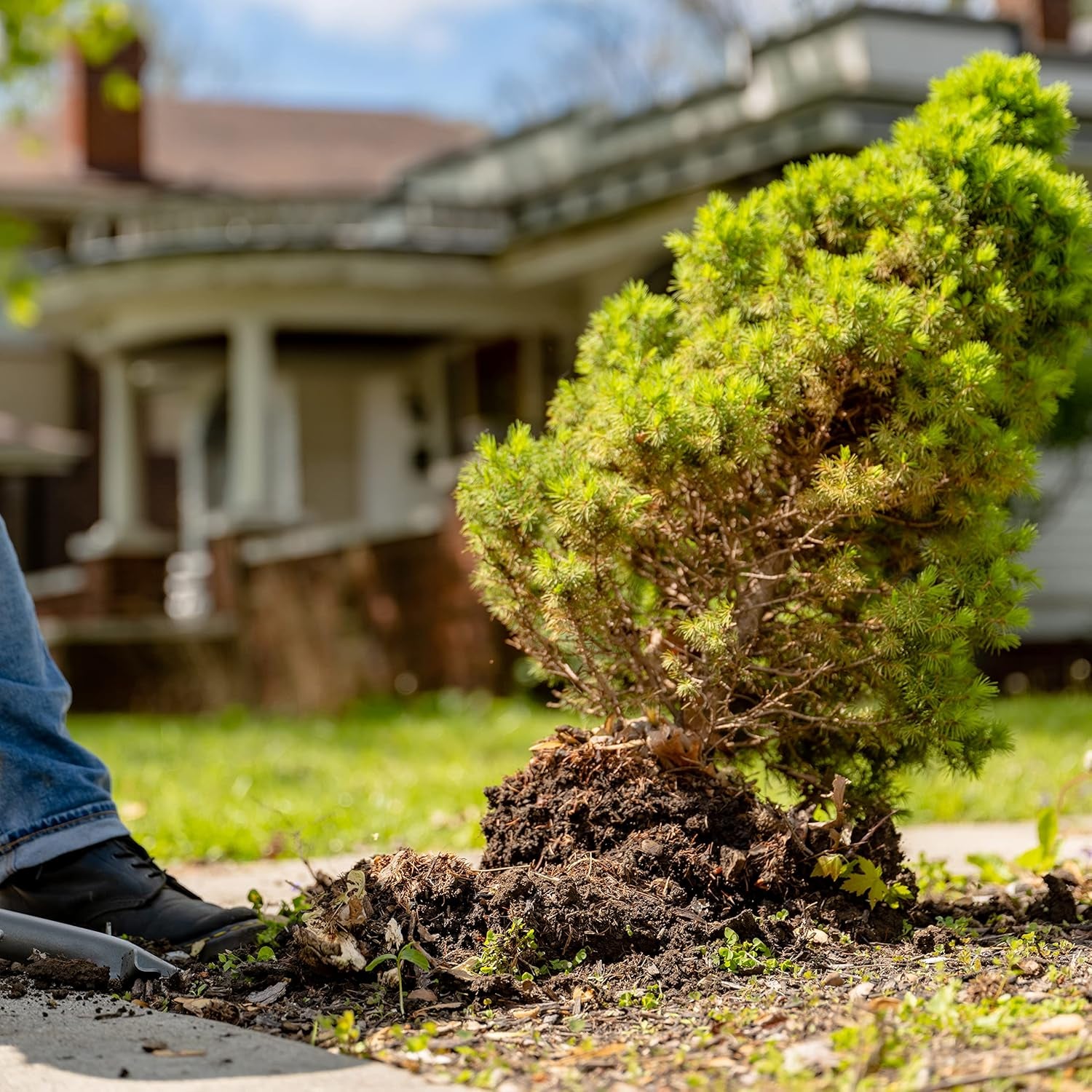 22911 Root Slayer Drain Spade XL, Root Slayer Drain Spade XL, Red