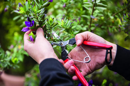 F322 Pruning Snips – 9.84" Swiss-Made Garden Clippers with Curved Blade & Rounded Tip | Pruning Shears for Gardening | Garden Snips and Pruners with Carbon Steel Blade, Sap Groove