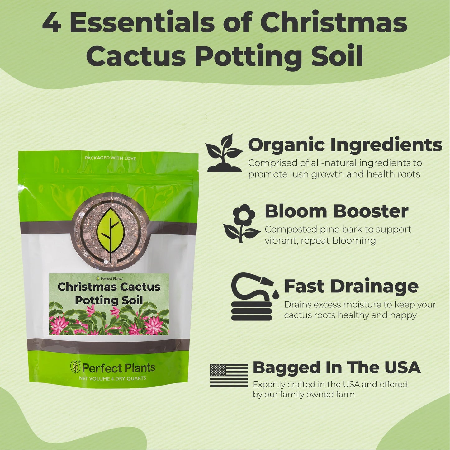 Christmas Cactus Potting Soil