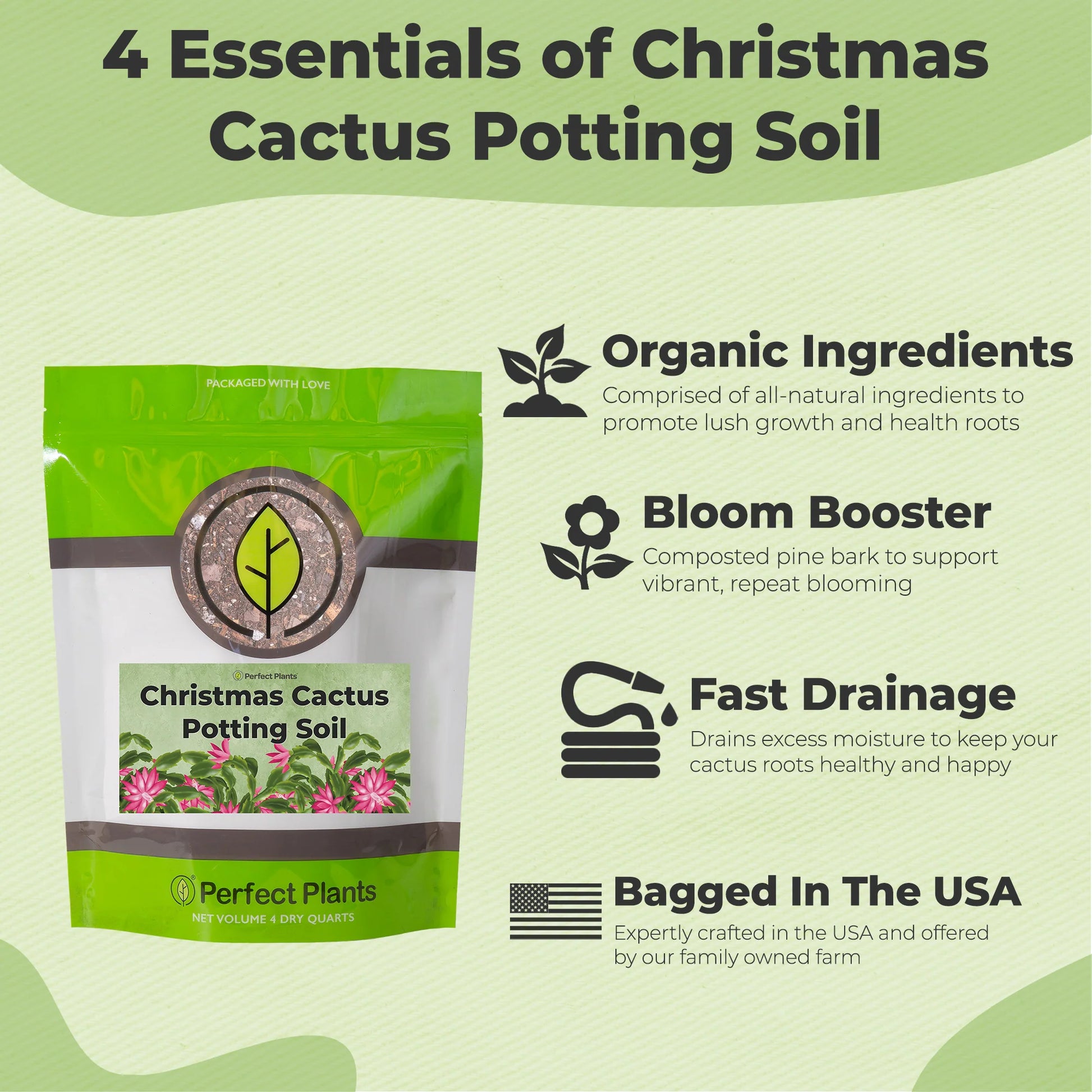 Christmas Cactus Potting Soil