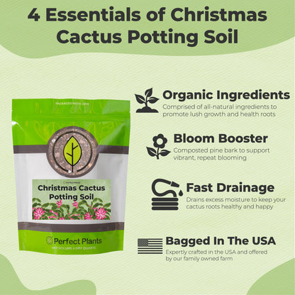 Christmas Cactus Potting Soil