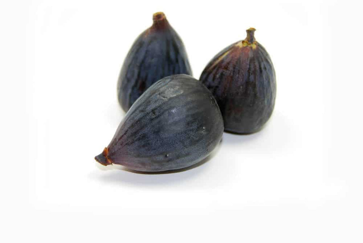 Black Mission Fig Tree