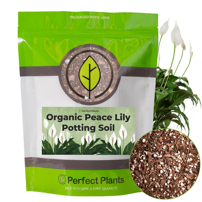Peace Lily Potting Soil