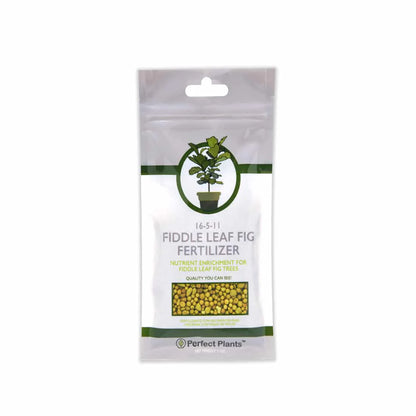 Fiddle Leaf Fig Fertilizer