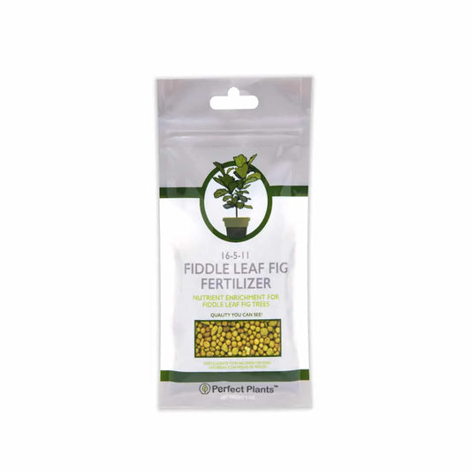 Fiddle Leaf Fig Fertilizer