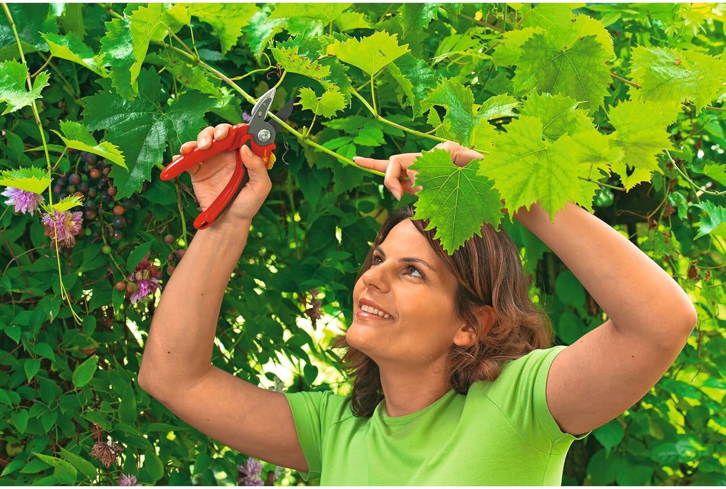 Anvil Secateurs (RS2500)