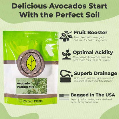 Avocado Potting Soil
