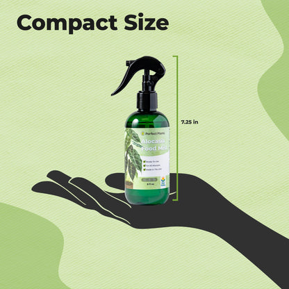 Alocasia Fertilizer Mist
