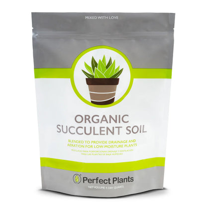 Succulent & Cactus Soil