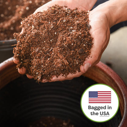 Snake Plant Soil Mix