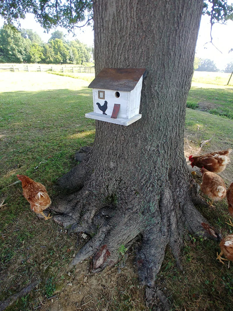 Bird in Hand Series Cumberland Chicken Coop 10 in X 10 in X 8 in Birdhouse