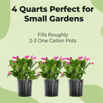 Christmas Cactus Potting Soil