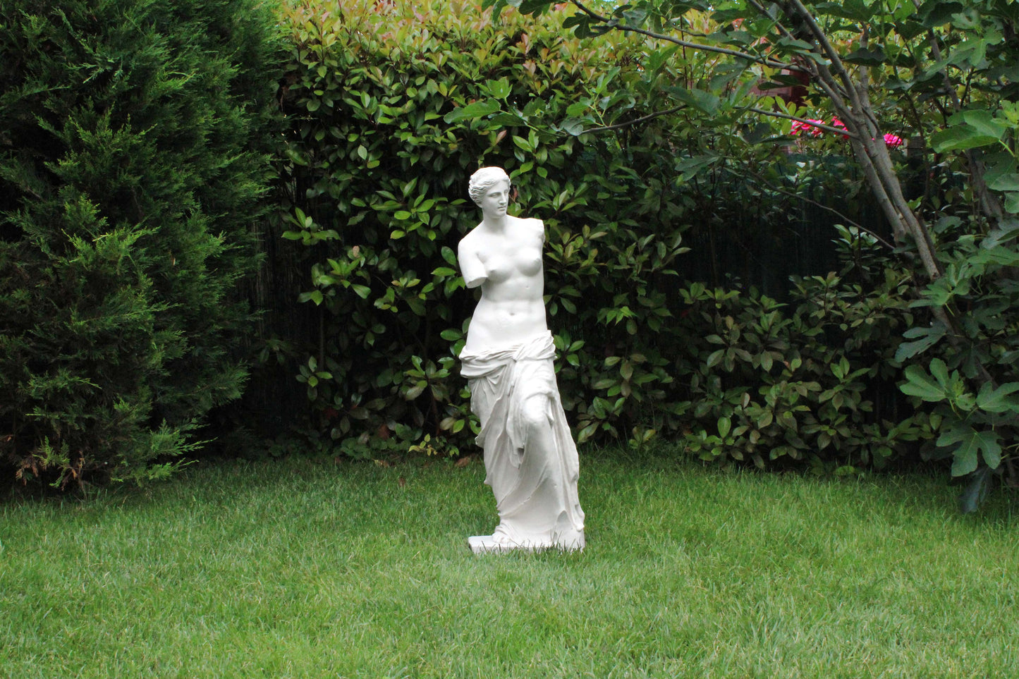 Venus De Milo Statue