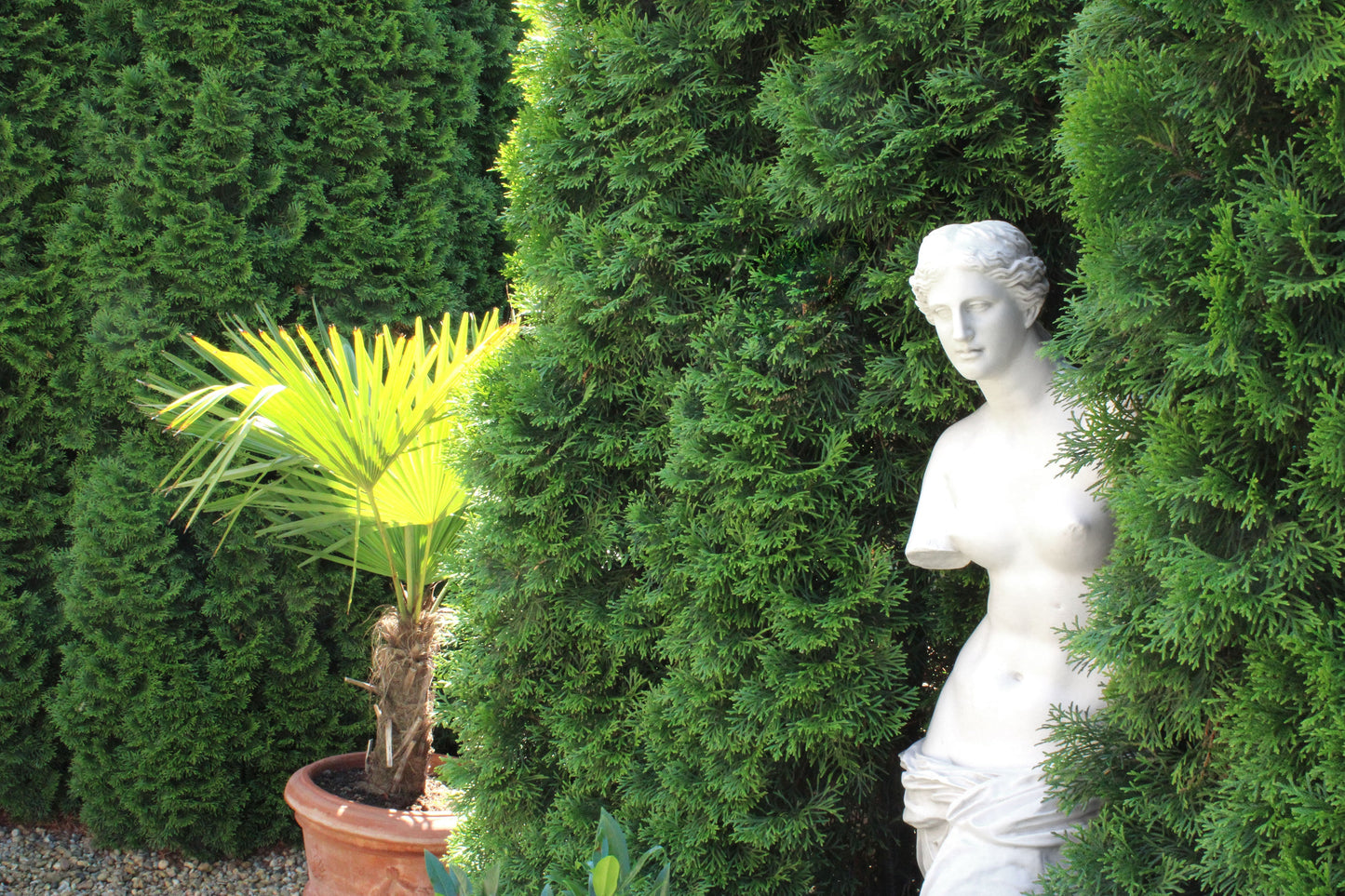 Venus De Milo Statue