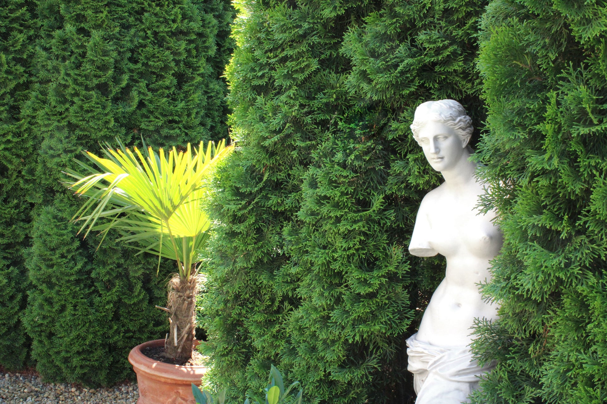 Venus De Milo Statue