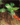 0f0e3651108b808b769597e2ebb24bc3.png