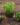 20d95d08353787b1fb34433730163e63.png