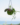 27c6b341b24981a5dbf8627c723070c7.png