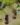2f8895f9f376cc85e59b1a21d5a8aeff.png