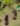 2f8895f9f376cc85e59b1a21d5a8aeff.png