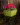 4ce316007beb99d17029e5f6c959e75a.png