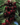 5d93a269f6afb71cc19d9ca85f6217f0.png