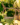 5deb26ea35658cbe0c483ae7cd252574-1.png