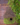 885150da428ceaf1ec2711023561ebf1.png
