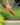 887a14990f00c154096e2ab06de55e1d.png