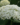 895452edb49cbff1d4f67dbf47fe0d93.png