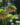 8a863d938e9546f3de78c7619ea02447.png