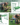 9642131dc885c44699ba32b2ade9d4fb.png