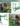 9642131dc885c44699ba32b2ade9d4fb.png