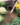 a083ed9be1cf9f5863624d66c7d744fe.png