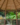 c79a383f333eeef03d89562cff02adc8.png