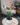 20d066a08e272c7f4866b245551d09f5.png