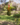 2273943a58b6176e7e6ff5b85f302bc6.png
