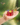 2bf986c3e598a7c6d0f9dab414a1801b.png