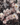 2e006faa6c3545d560fe2165a7e28bcc.png