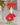3031113-6239246e-76b5-4aff-ae7c-7932b50f43ea-6850c2eae40231bfc7058e65.png
