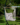 3926e2ee7b52efaf9126760aac86c7a0-2.png