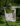 3926e2ee7b52efaf9126760aac86c7a0-2.png