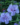 4954b24967c48b2ccdd5fba384ac8501.png