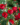 5315c16166a077f4750412b93b2457bc.png