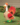 5e59758a49cfdd47f9ca96791c9b2dee.png
