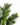6790e8026931765f9be84778afbf1f4b.png